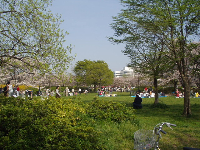 img0026.jpg