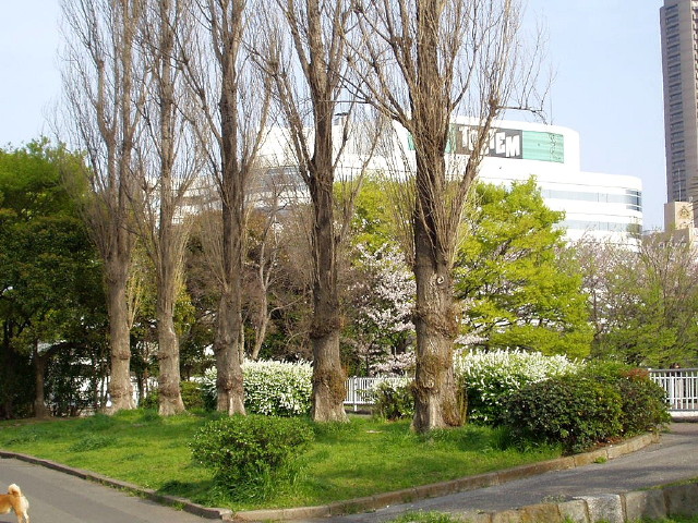 img0028.jpg