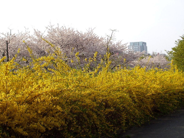 img0029.jpg