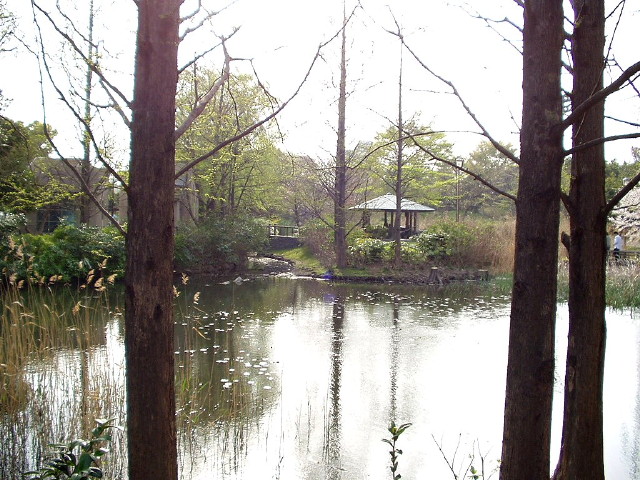 img0032.jpg