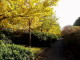 img0003.jpg