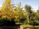 img0006.jpg