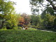 img0007.jpg