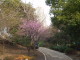 img0012.jpg