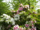 img0014.jpg