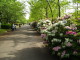 img0015.jpg