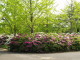 img0016.jpg