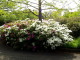img0017.jpg