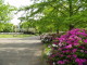 img0018.jpg