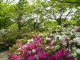 img0019.jpg