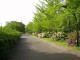 img0020.jpg