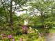img0021.jpg