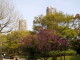 img0022.jpg