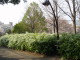 img0024.jpg