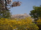 img0025.jpg
