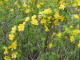 img0031.jpg