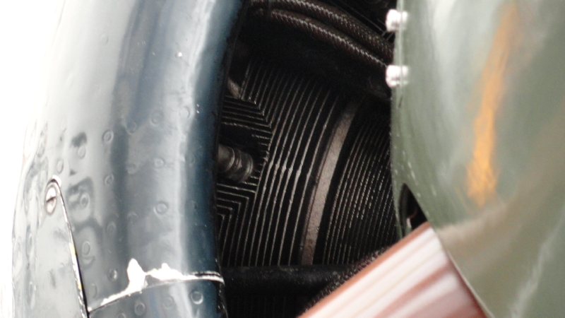 img0039.jpg