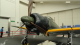 img0001.jpg