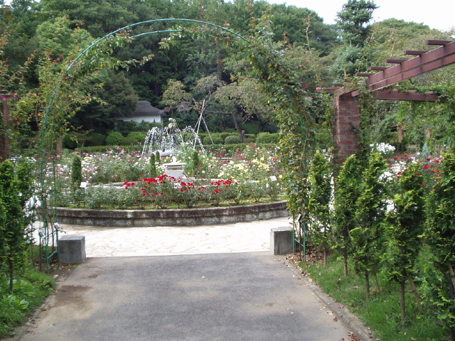 img0000.jpg