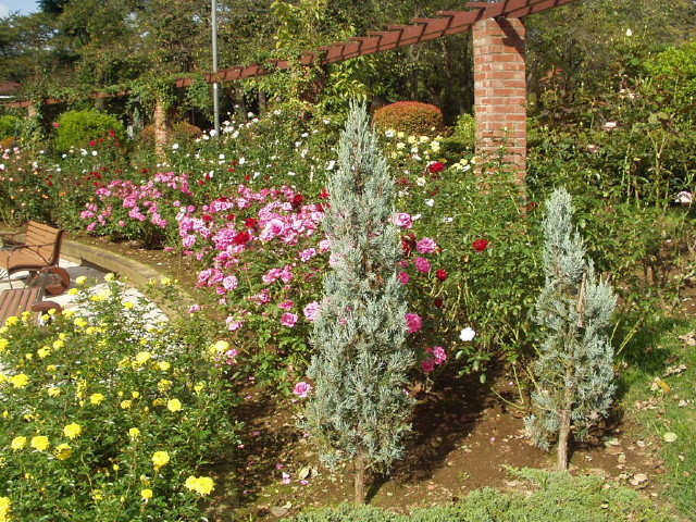 img0002.jpg
