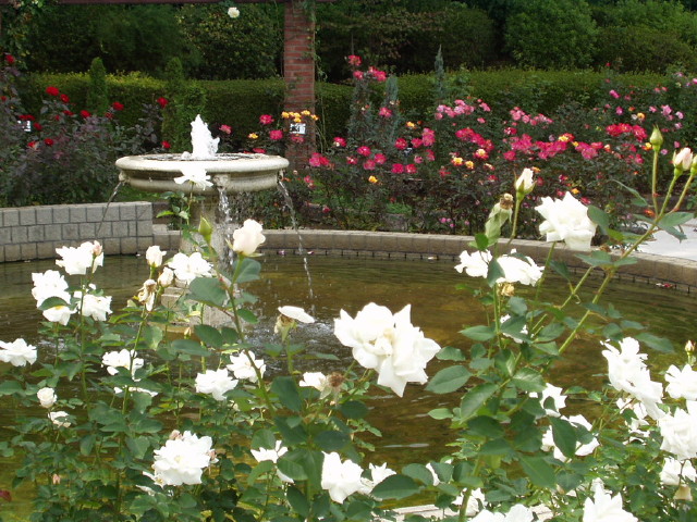 img0008.jpg
