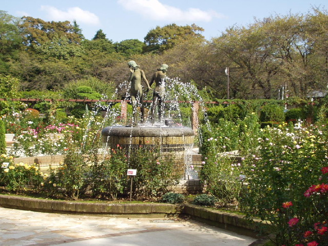 img0010.jpg