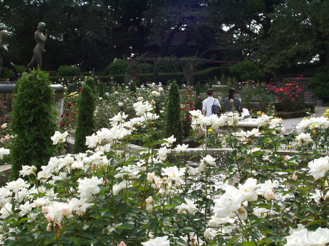 img0014.jpg