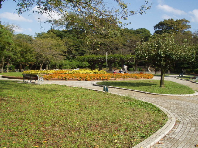img0015.jpg