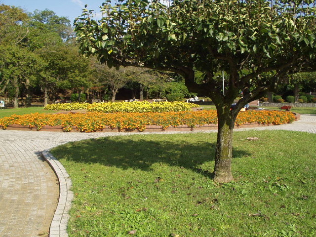 img0016.jpg