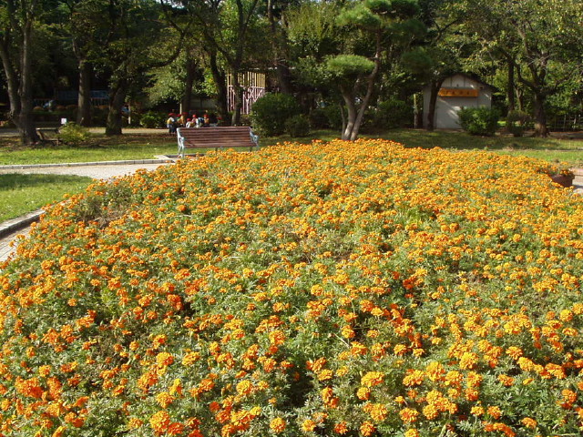 img0017.jpg