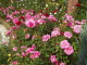 img0003.jpg