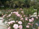 img0005.jpg