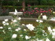 img0008.jpg