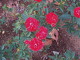 img0012.jpg