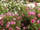 img0013.jpg