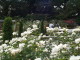 img0014.jpg