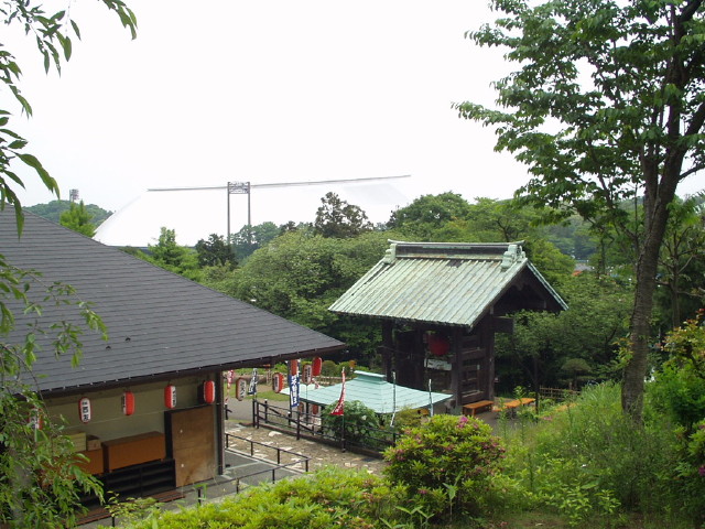 img0010.jpg