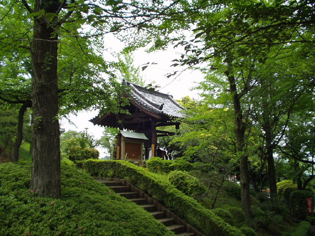 img0018.jpg