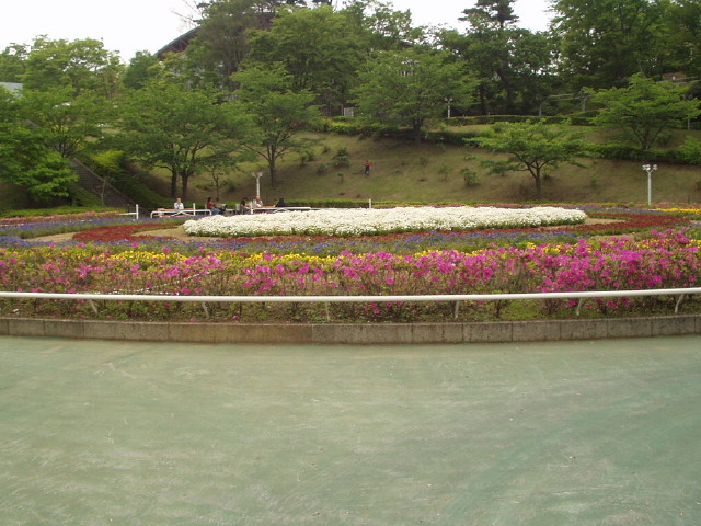 img0020.jpg