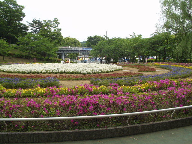 img0021.jpg