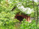 img0006.jpg