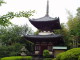 img0014.jpg