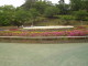 img0020.jpg