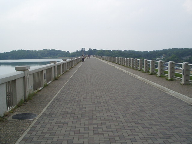 img0003.jpg