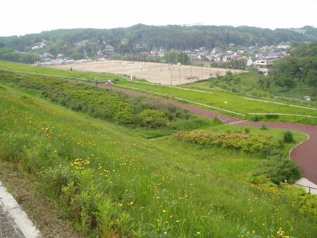 img0004.jpg
