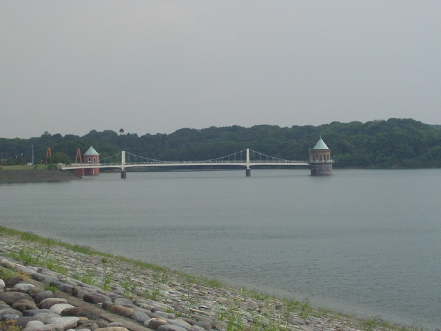 img0010.jpg