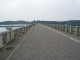 img0003.jpg