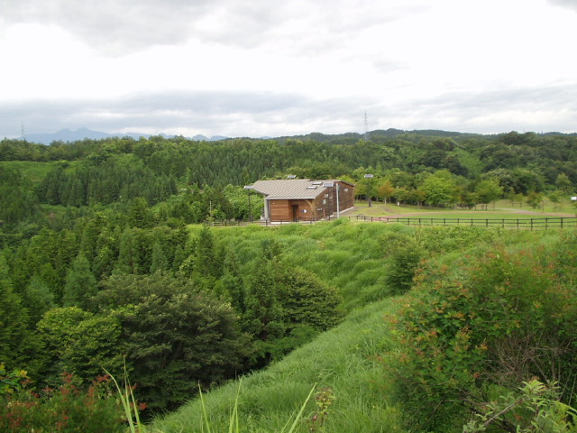 img0005.jpg