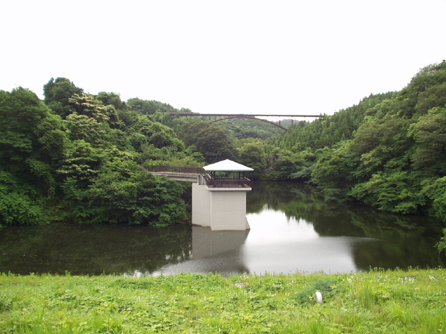 img0011.jpg