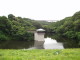 img0011.jpg